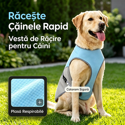 🐶Ham cu vestă de răcorire pentru câini, pentru vară