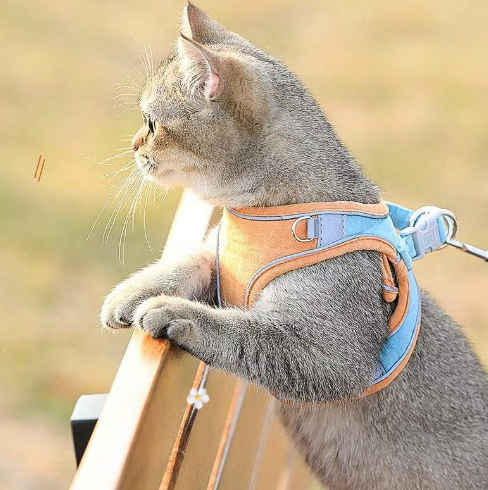 Ham pentru piept cu lesă reflectorizantă – respirabil, căptușit și sigur – pentru câini și pisici🐾