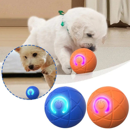 🐶Minge inteligentă automată pentru animale, schimbă direcția la obstacole, reîncărcabilă USB din silicon sigur