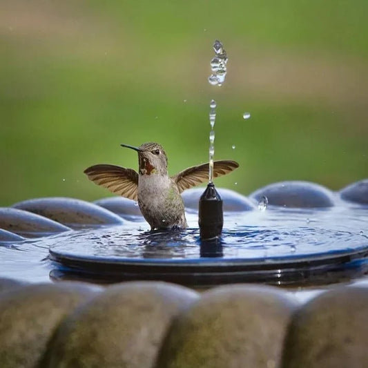 🔥Fântâni solare pentru păsări🐦️