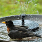 🔥Fântâni solare pentru păsări🐦️