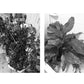 🌱 REDUCERE DE 50%! 💧 Temporizator automat de irigare reglabil – programabil, fiabil și economisitor de apă – perfect pentru plantele din grădină, de pe balcon și din seră 🌿