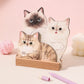 ⚡50% REDUCERE😻Calendar de birou 3D pentru pisici și câini
