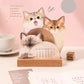 ⚡50% REDUCERE😻Calendar de birou 3D pentru pisici și câini