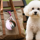 Sticlă pliabilă de apă pentru animale de companie, ideală pentru călătorii
