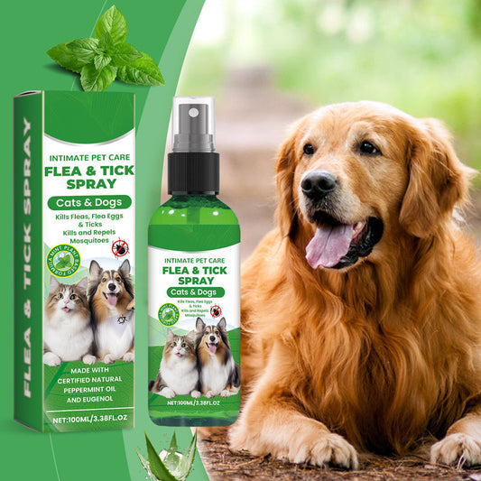 ⏰🔥 50% REDUCERE PENTRU O PERIOADĂ LIMITATĂ! 🐶🐱 Spray natural împotriva puricilor și căpușelor – Protejează-ți animalele de companie în mod sigur și eficient 🌿✨