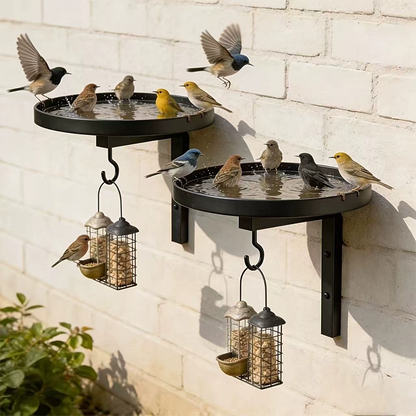 Cadă metalică pentru păsări, montată pe perete – finisaj bronz antic 🐦🛁🧱🏡