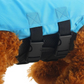 ⏰ 50% REDUCERE – Profită acum 🦈🐶 Vestă de salvare reglabilă pentru câini în formă de rechin – Cățelul tău va arăta „fin-tastic”! | Flotor de siguranță + design drăguț