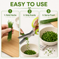 ✂️✨Foarfece pentru plante aromatice din oțel inoxidabil cu 5 lame – Foarfece de bucătărie pentru tăiere rapidă