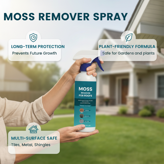 Spray de curățare pentru mușchi și alge de pe acoperiș, pentru diverse suprafețe